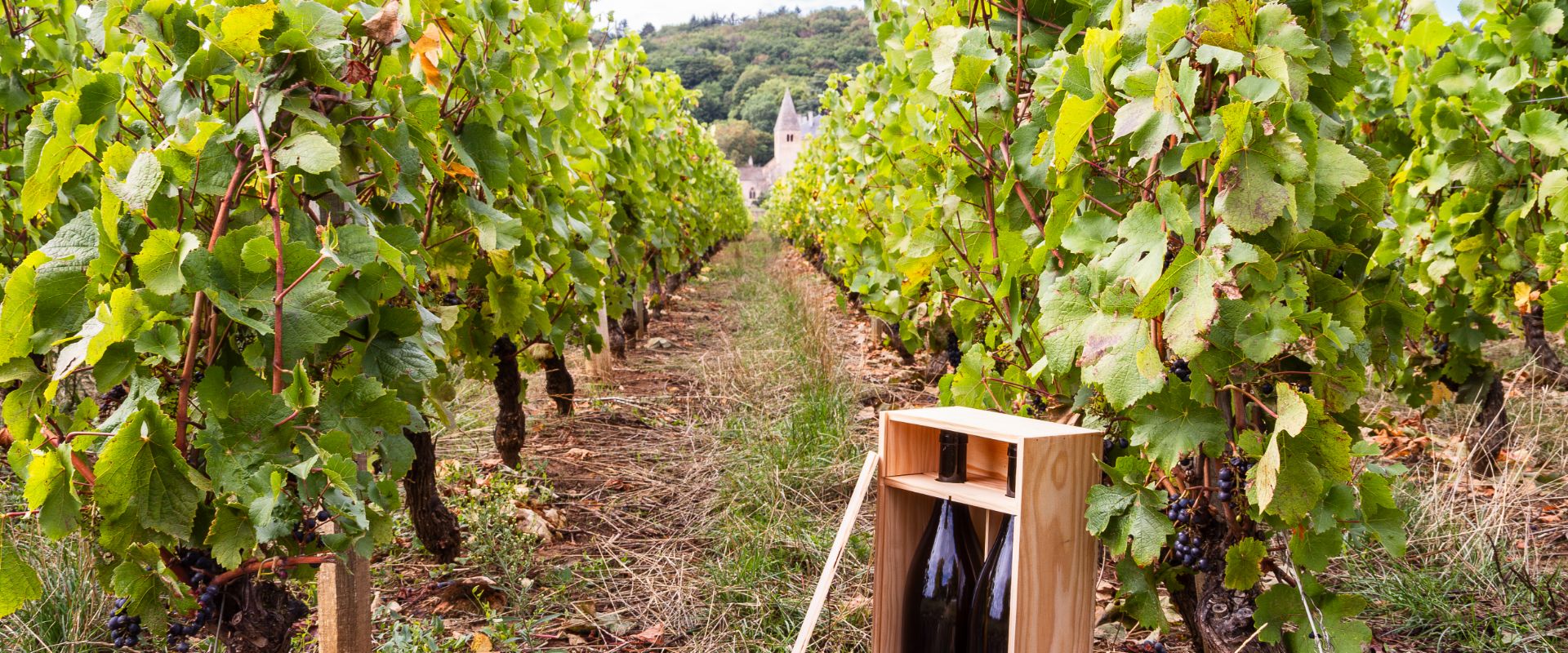 Caisserie CVF - Givry-129.jpg